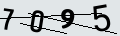verifycode